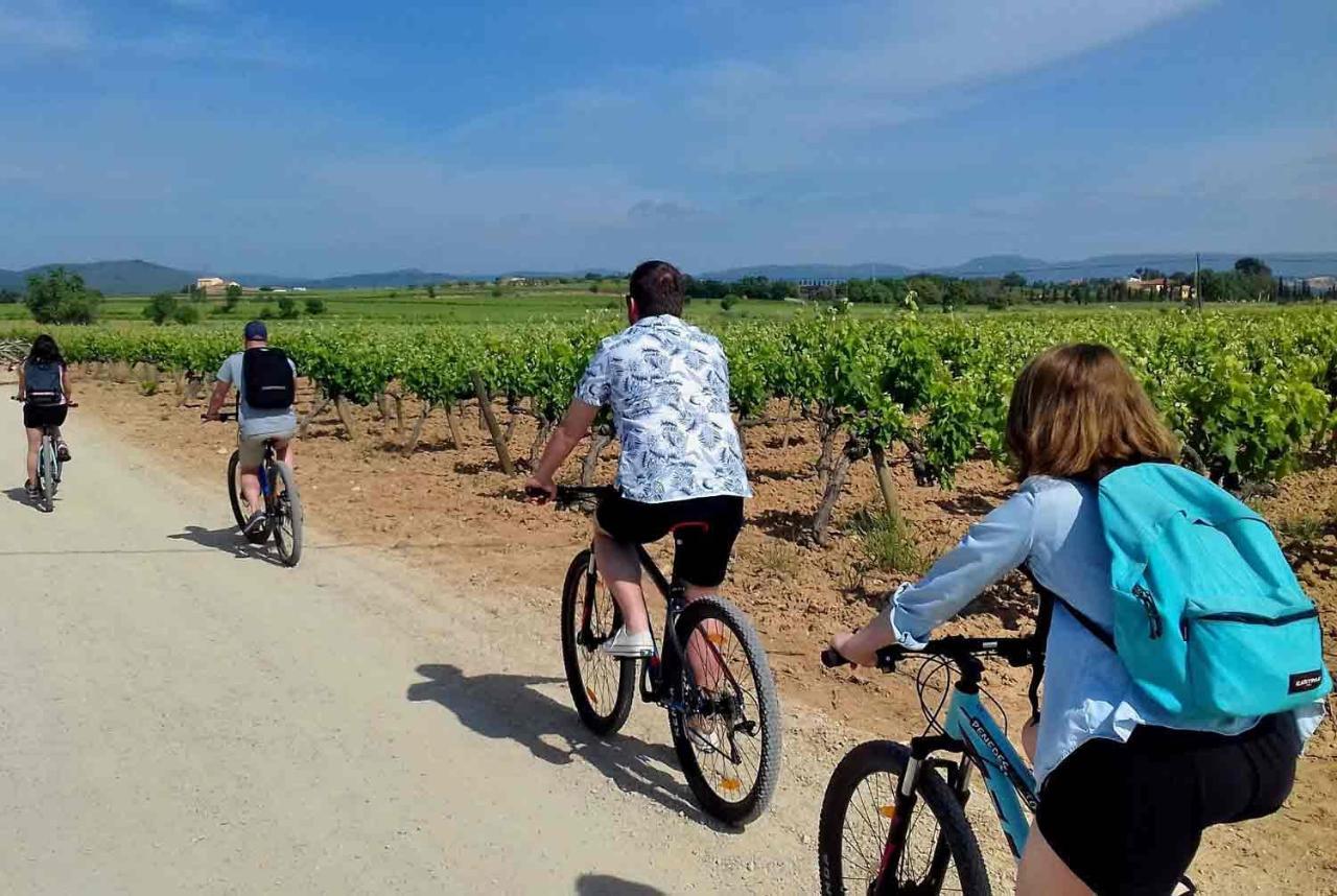 Tina De Vila, En La Capital Del Vino Вильяфранка-дель-Пенедес Экстерьер фото